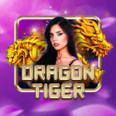 Dragon Tiger live casino - play at jljl13