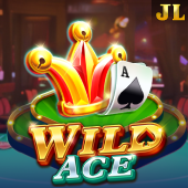 Wild Ace - jljl13 slot game